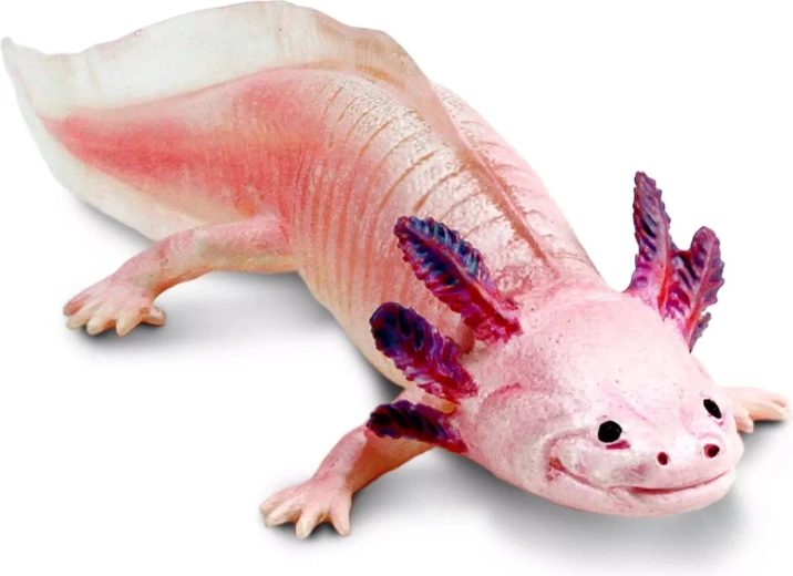 Safari Ltd. figura de ajolote