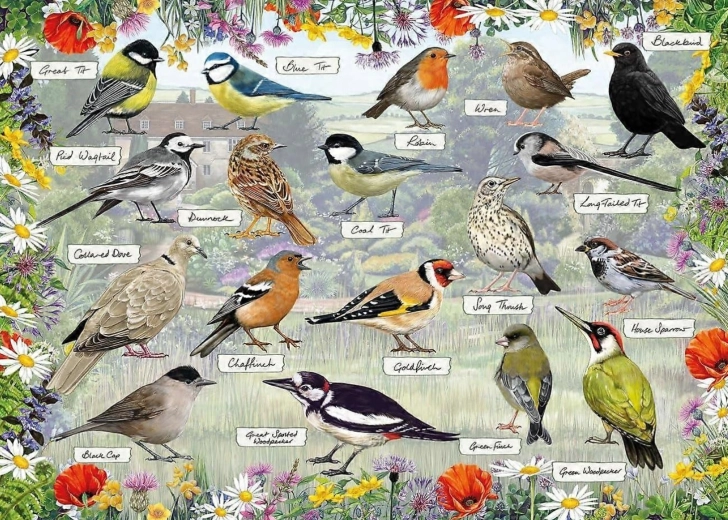 Puzzle Gibsons RSPB: Pájaros felices 1000 piezas