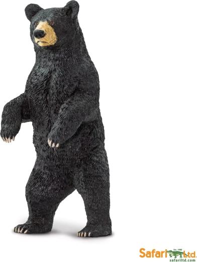 Safari Ltd. oso negro americano (baríbal) - 1 unidad