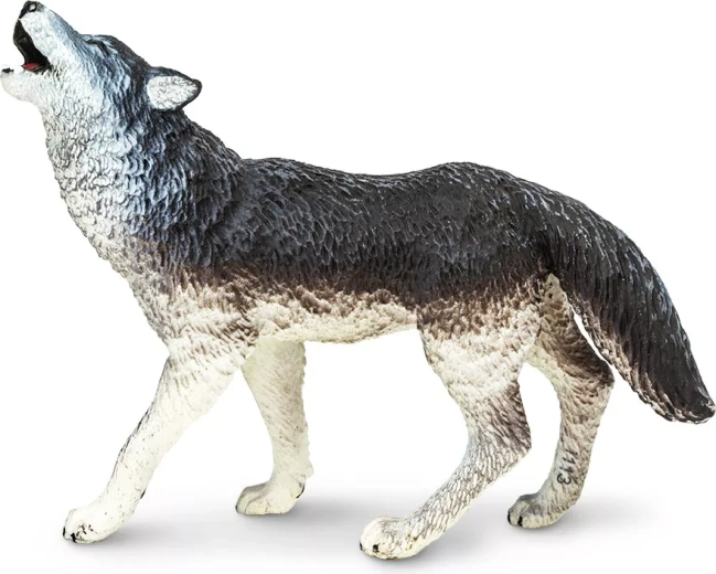 Lobo gris Safari Ltd.