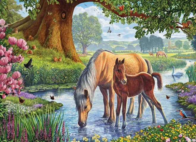 EUROGRAPHICS Puzzle Ponis Fell 1000 piezas