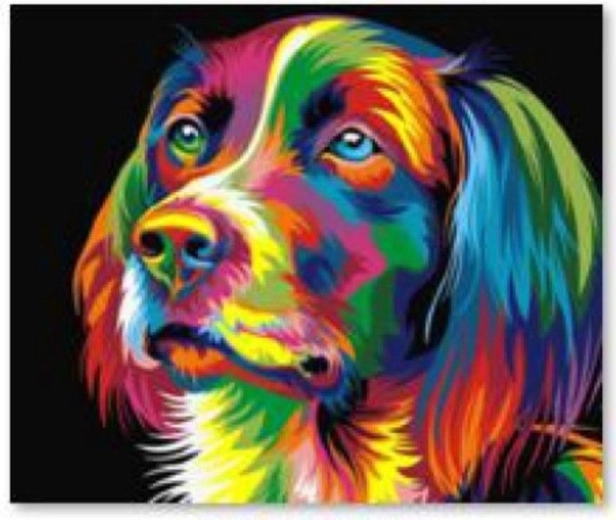 Pintura de diamantes – cuadro Perro (a color) 30 × 30 cm