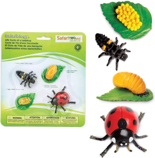 Safari Ltd. ciclo de vida de la mariquita – set de 4 figuras