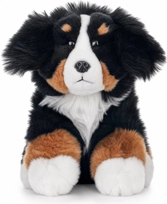 Perro de montaña bernés de 23 cm