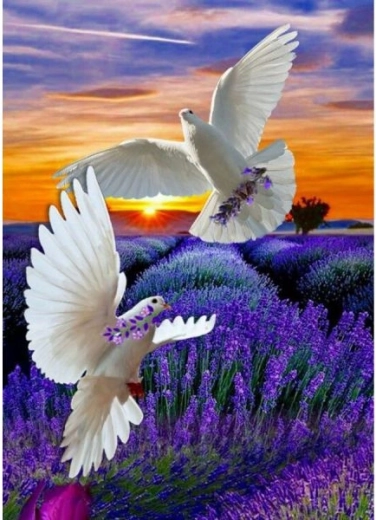 Kit de diamond painting (mosaico) – dos palomas 30 × 40 cm