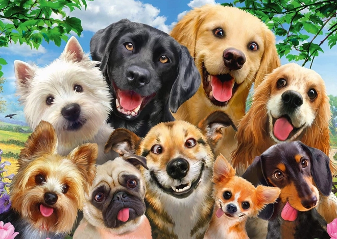 Puzzle Schmidt selfi de perros 500 piezas