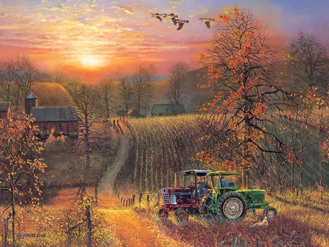 Puzzle COBBLE HILL Descanso XL 275 piezas