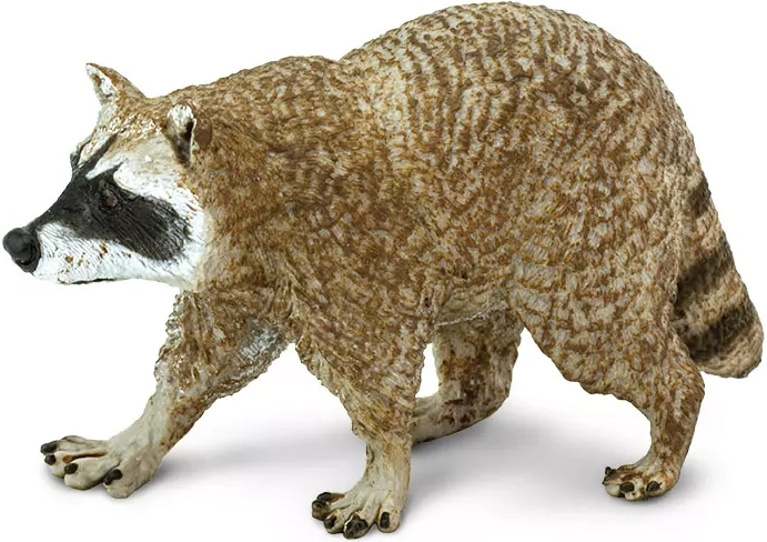 Figura de mapache norteño Safari Ltd.