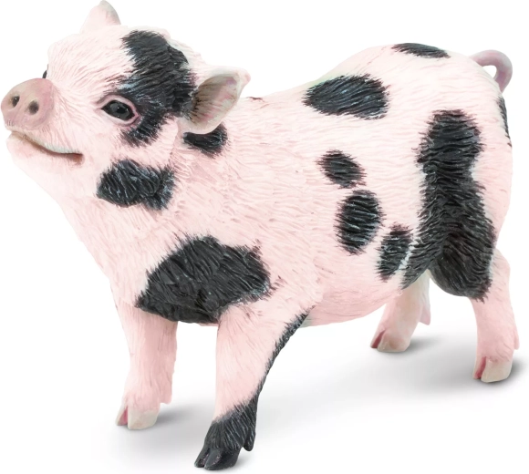 Safari Ltd. figura de cerdito vietnamita