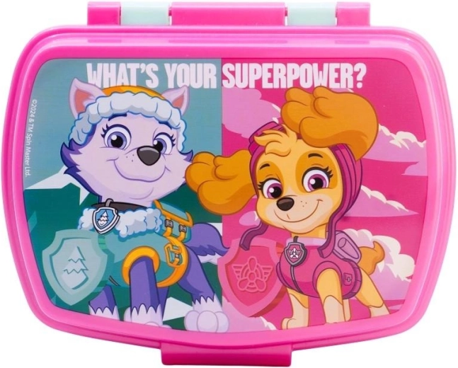 Caja para el almuerzo Patrulla Canina