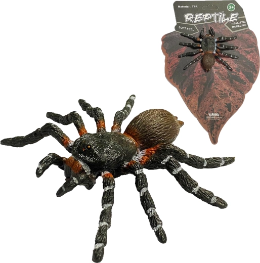 Naturaleza viva: modelo realista de araña White Knee Spider (8 cm) - 1 pieza