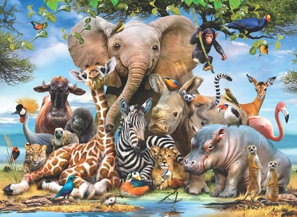 Puzzle ANATOLIAN – sonrisa africana, 1000 piezas