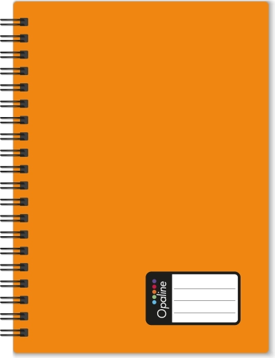 Bloc de notas A5 con doble espiral Opaline, naranja
