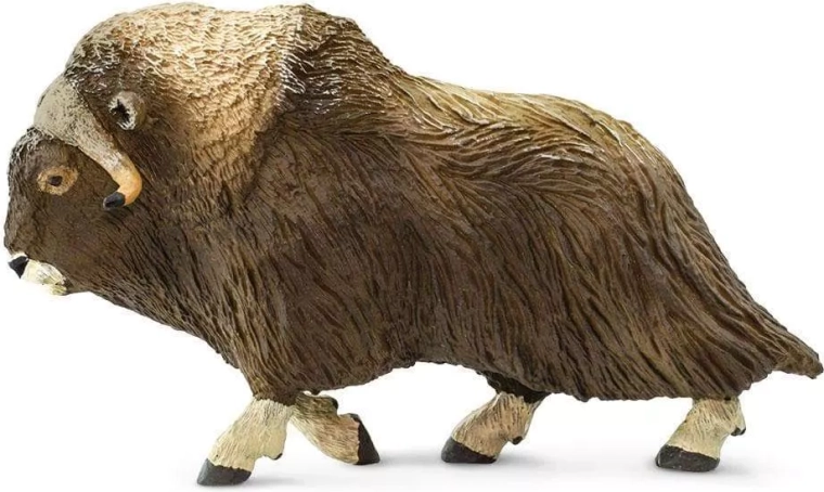 Safari Ltd. figura de buey almizclero