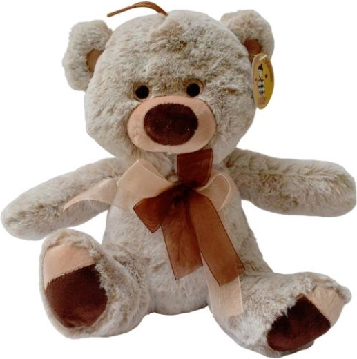 Osito de peluche marrón con accesorios