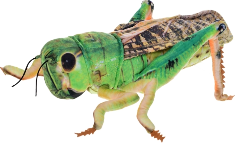 Saltamontes de peluche 40 cm – verde