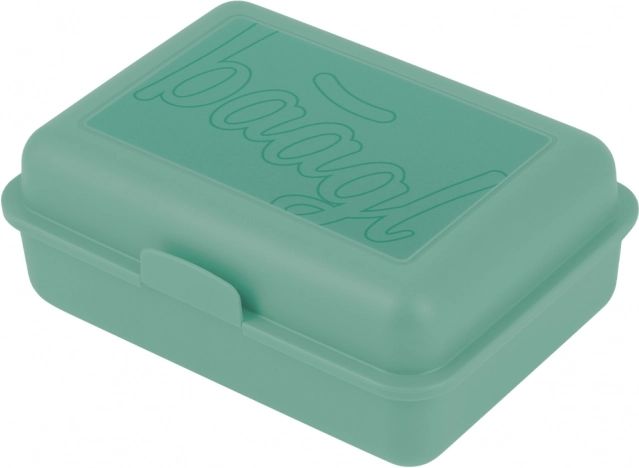 Caja para sándwiches verde