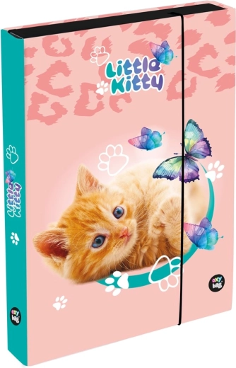 Caja para cuadernos A4 Jumbo gato