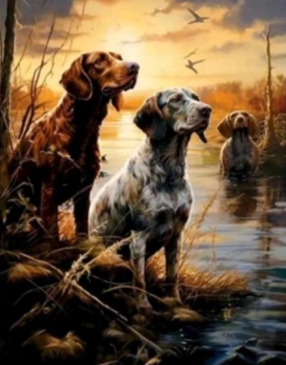 Pintura de diamantes Pantanos 30 × 40 cm