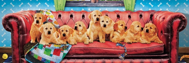 Puzzle panorámico Labradores en un sofá para perros 1000 piezas