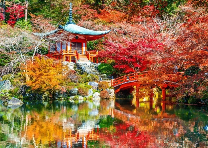 Puzzle BLUEBIRD Templo Daigo-ji en el Kioto otoñal – 500 piezas