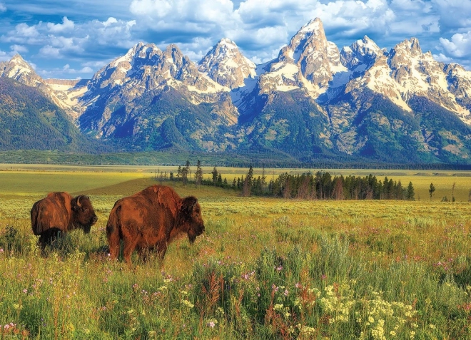 Puzzle del hermoso Parque Nacional Grand Teton de 1000 piezas