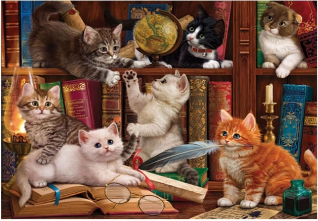 Puzzle Gatitos en la biblioteca 500 piezas