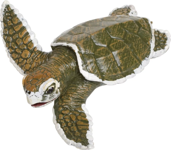 Cría de tortuga carey (más pequeña) - 1 pieza
