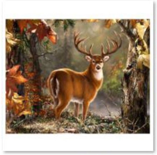Pintura de diamantes (diamond painting) – ciervo majestuoso 40 × 30 cm