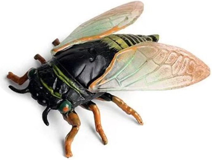Cigarra 6 cm