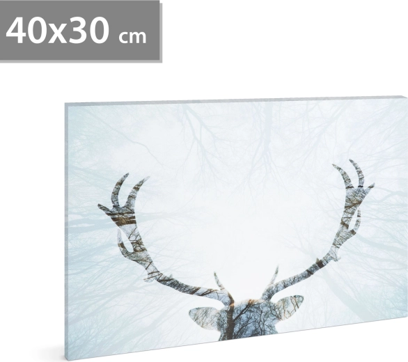 Cuadro LED con reno de 40 × 30 cm