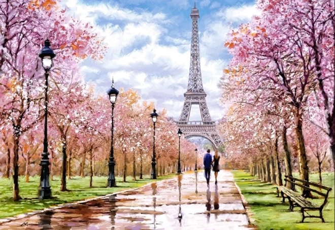 Puzzle de 1000 piezas – Paseo romántico en París