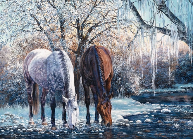 Puzzle Belleza del Invierno 500 piezas Cobble Hill