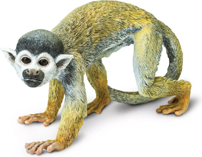 Safari Ltd. kotul veverovitý - 1 pieza