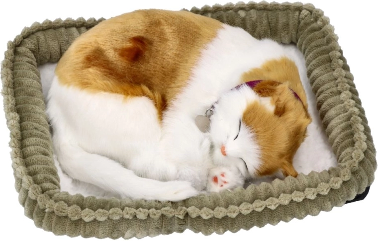 Perfect Petzzz gatita respirando Soriano 3+