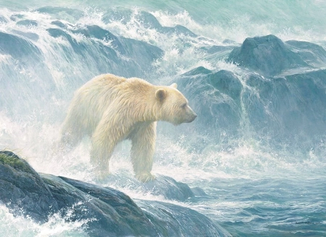 Puzzle Caza de salmones - Oso polar 500 piezas