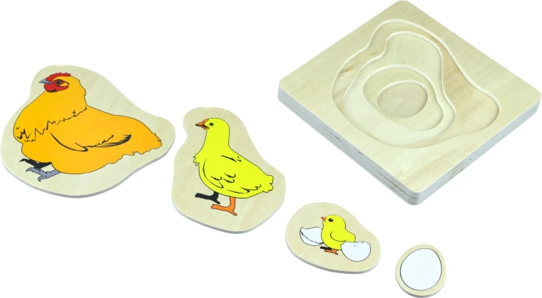 Ciclo de vida del pollito – rompecabezas de madera multicapa