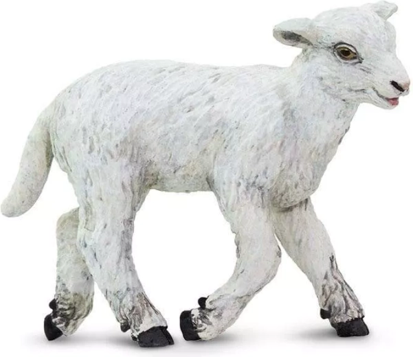 Safari Ltd. figura de oveja doméstica - 1 pieza