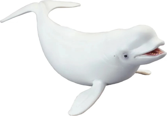 Modelo de beluga