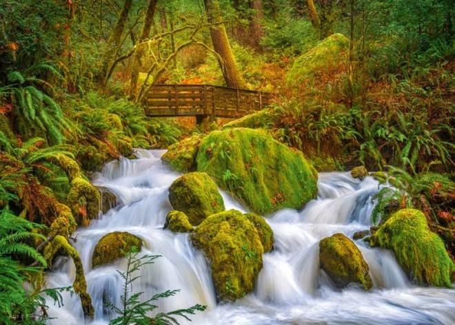 Puzzle Cascada del bosque 1000 piezas