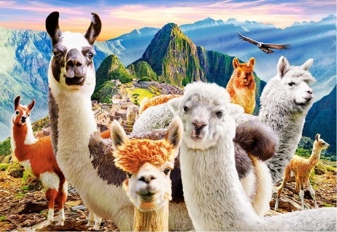 Puzle de 200 piezas Llamas Selfie