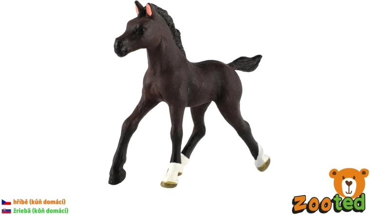 Potro de caballo doméstico – figura de plástico de 11 cm - 1 pieza