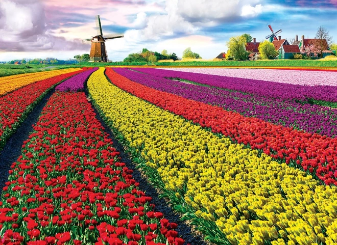 EUROGRAPHICS puzzle campo de tulipanes – 1000 piezas