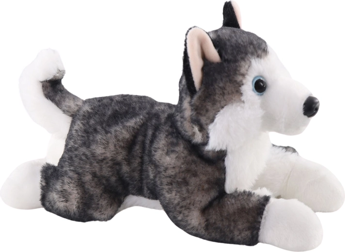 Husky de peluche 26 cm