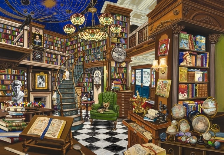 Puzzle BLUEBIRD Vendedor de libros raros 1000 piezas