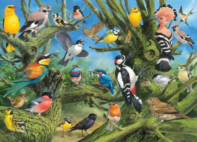 EUROGRAPHICS puzle Pájaros en el jardín – 1000 piezas