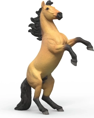 Semental mustang