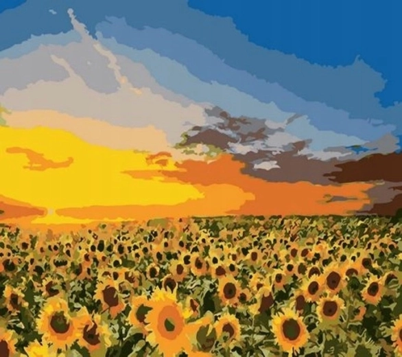Norimpex pintura por números Girasoles en el campo 40 × 50 cm