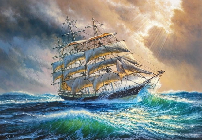 Puzzle de 1000 piezas Planchado