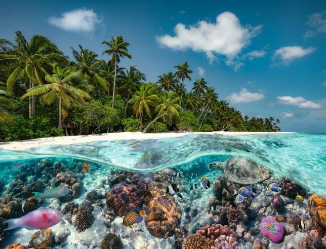 Puzzle Ravensburger Buceo en las Maldivas 2000 piezas